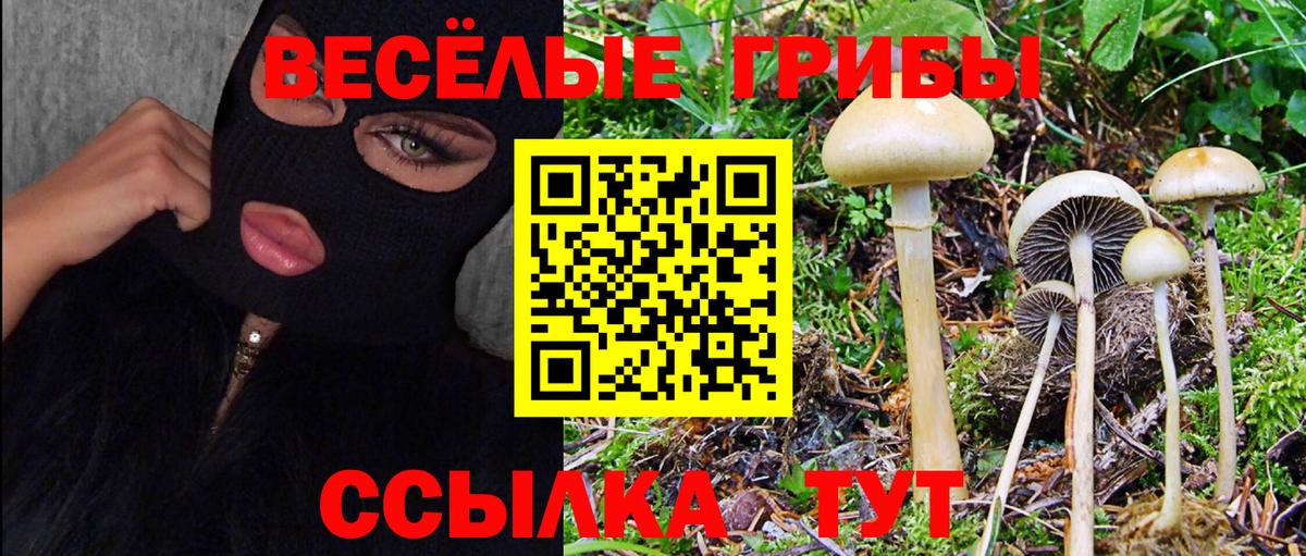 Псилоцибиновые грибы GOLDEN TEACHER Нефтекамск